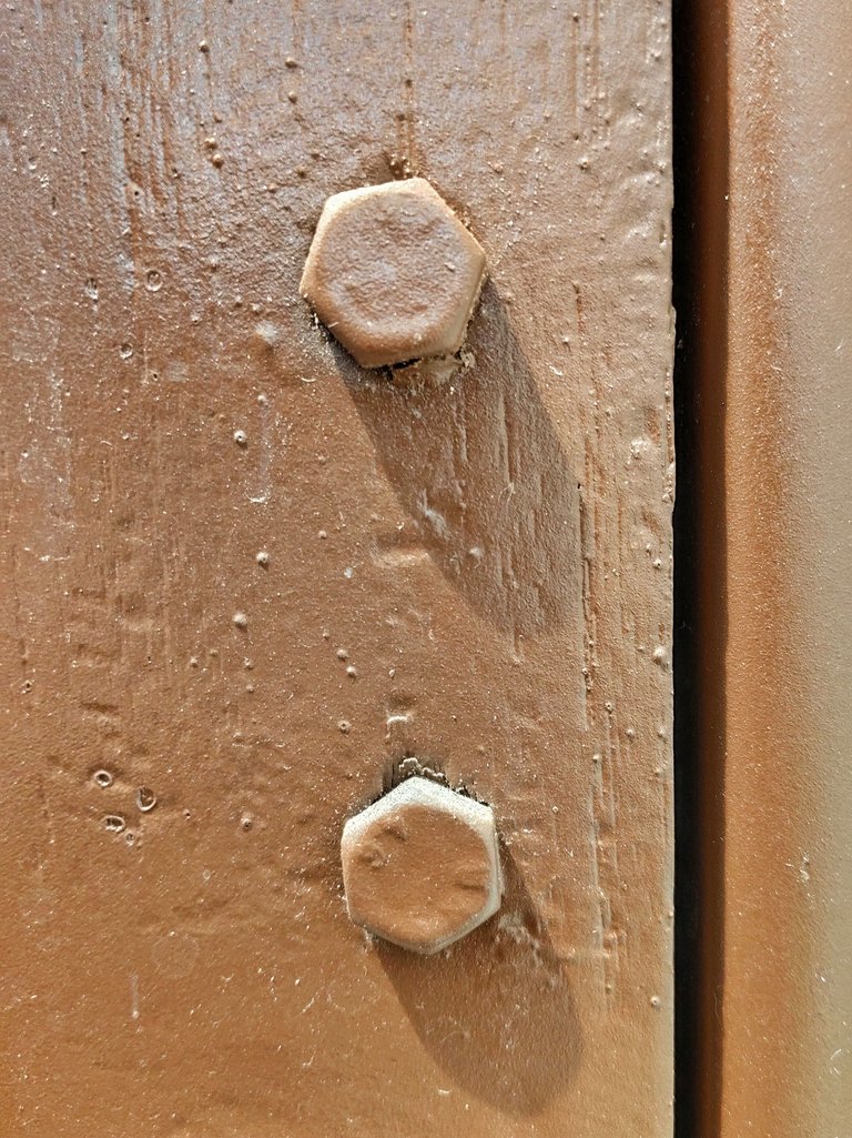 1000071379.jpg