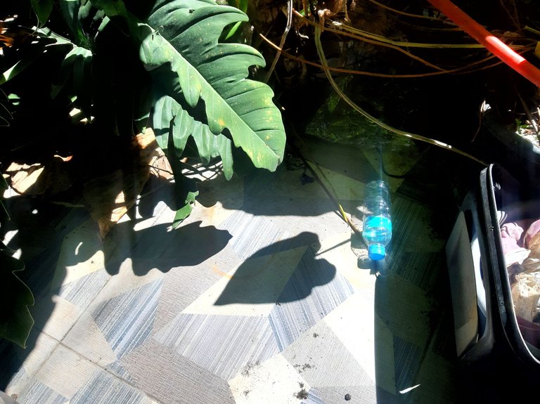 20241128_111035-01.jpeg