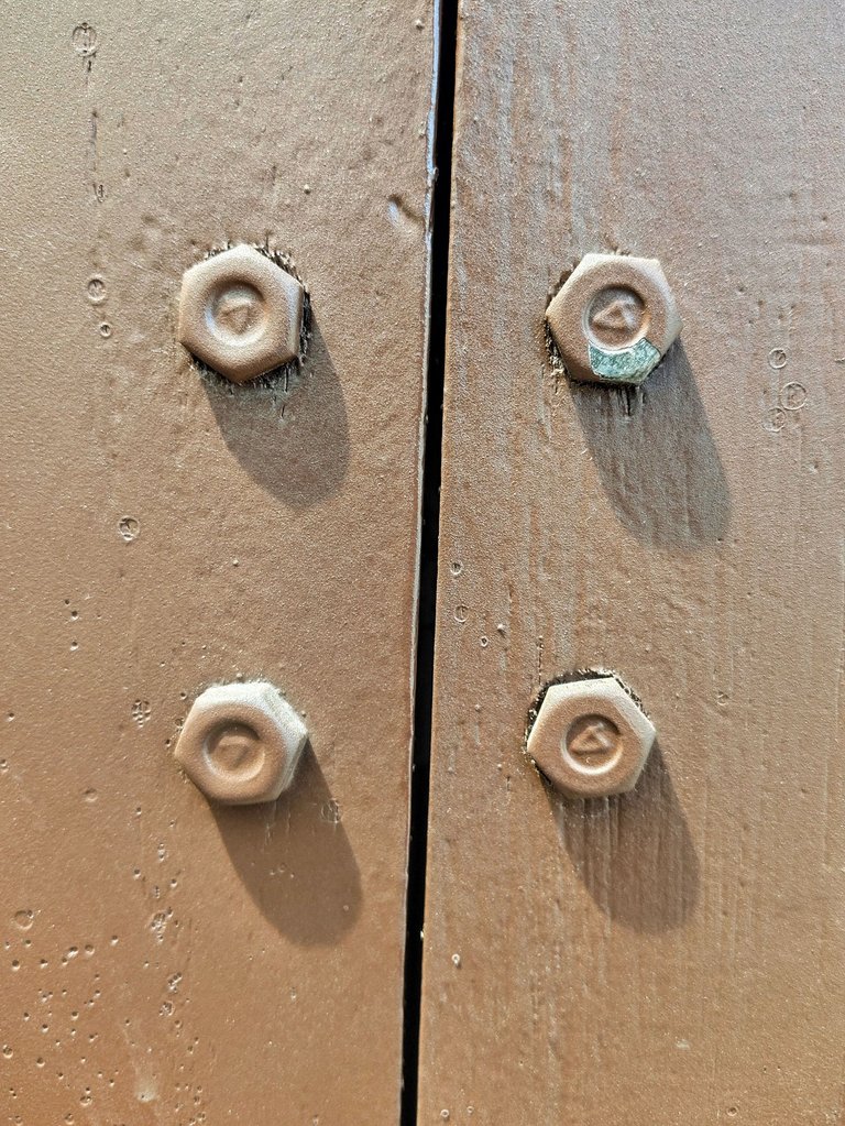 1000071381.jpg