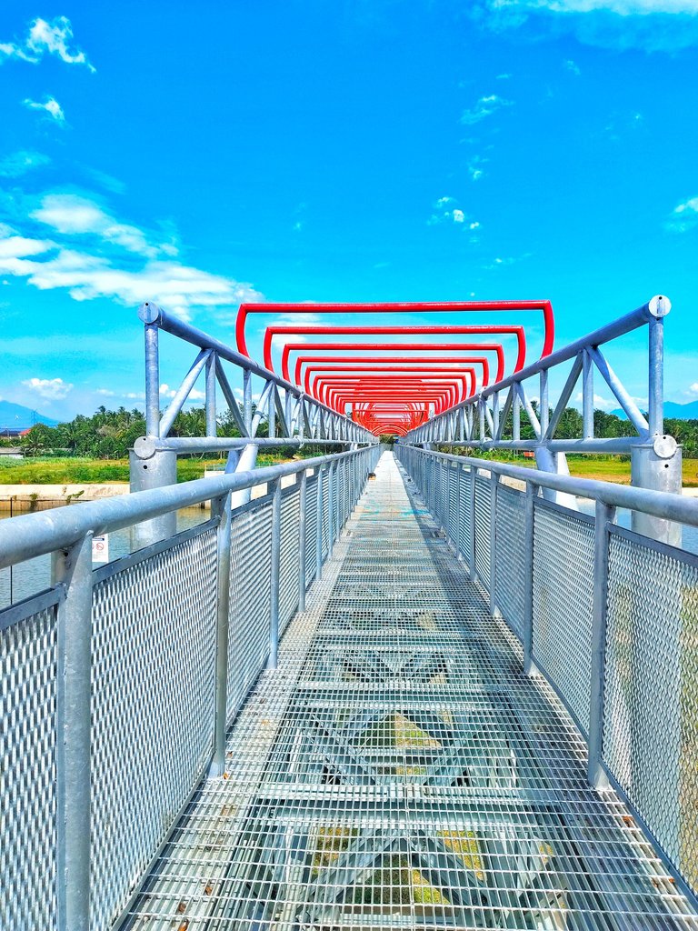 1000080291.jpg