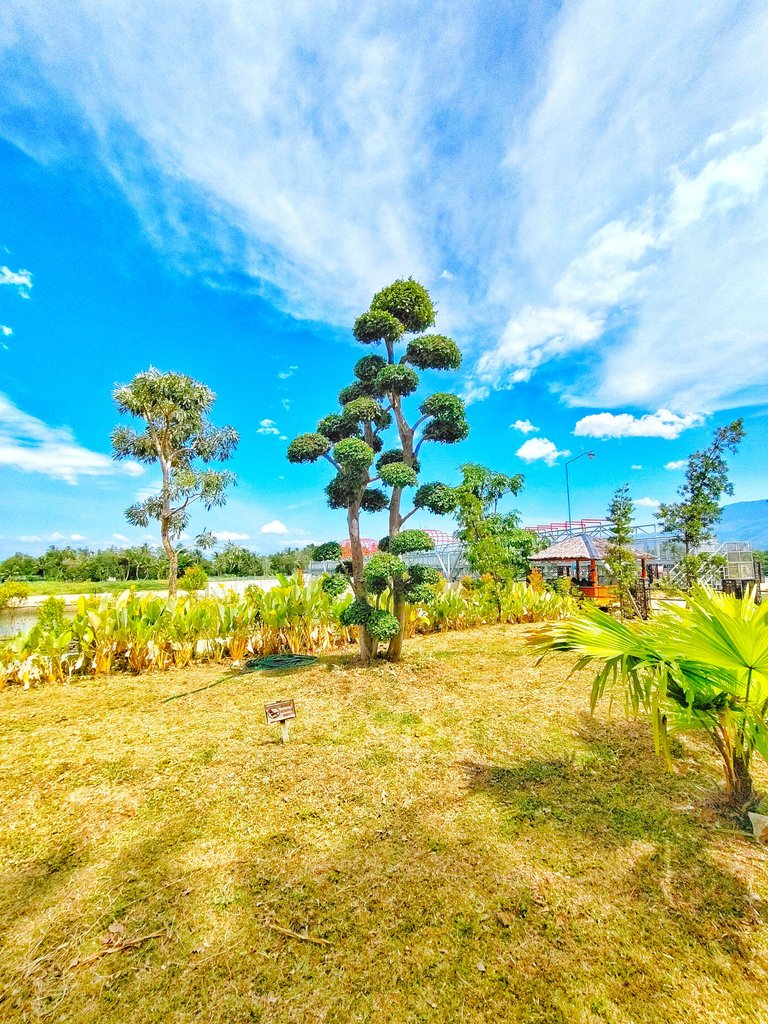 1000080298.jpg