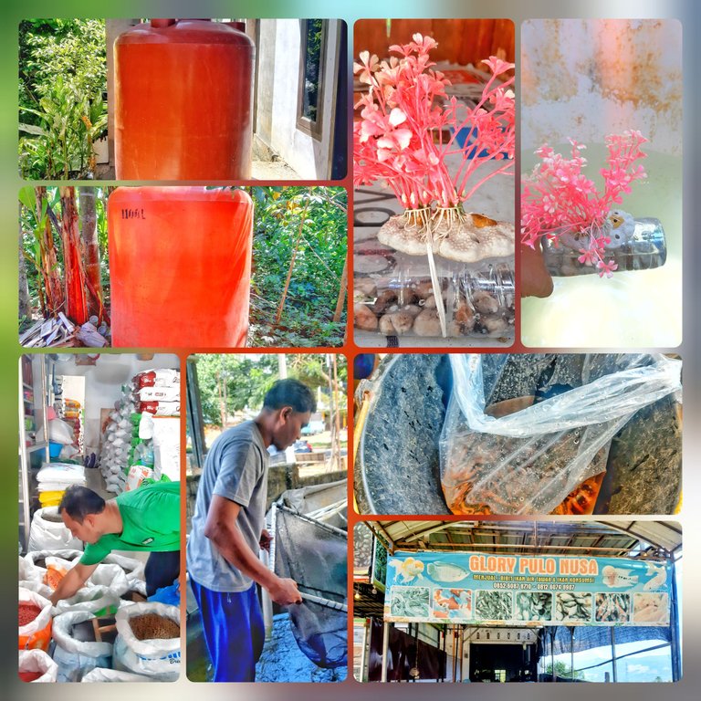 InCollage_20250409_153823235.jpg