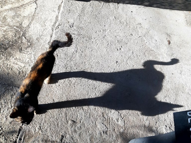 20240905_074628-01.jpeg