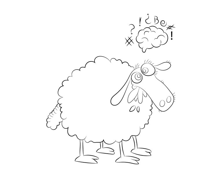 ovca1.jpg
