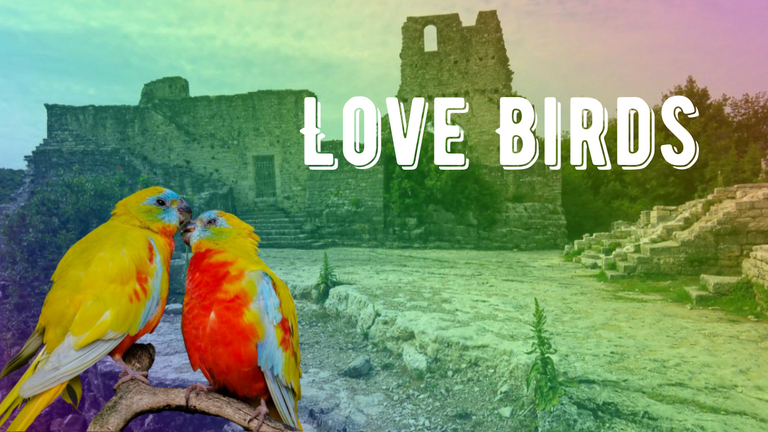 Love Birds.png