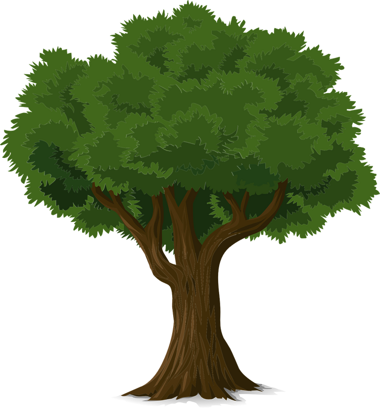 tree576847_1280.png