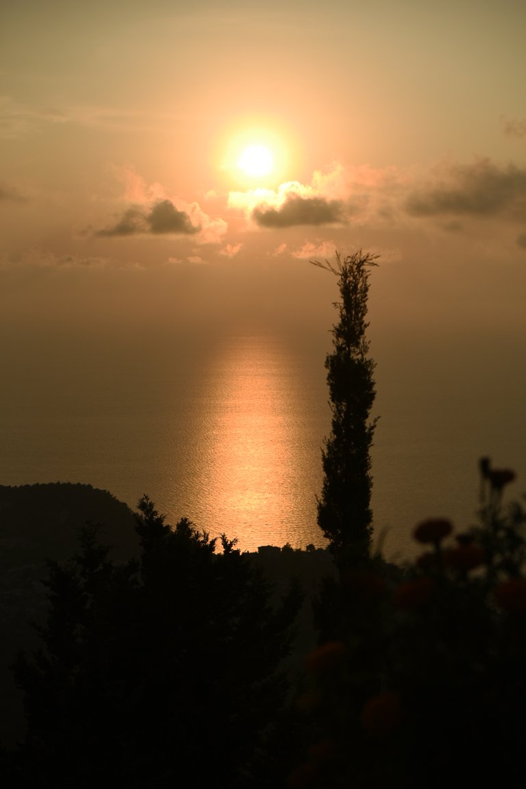 _DSC9936.JPG