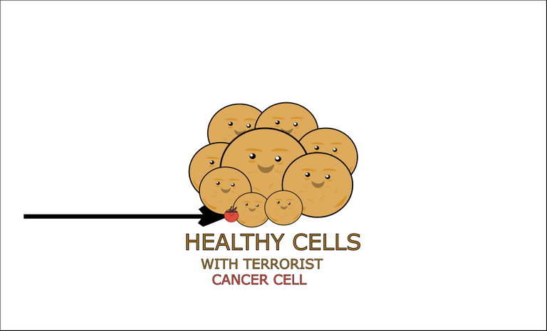 healthy cells 2.png