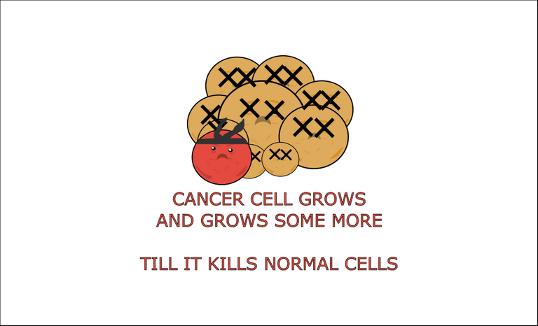 healthy cells 4.png
