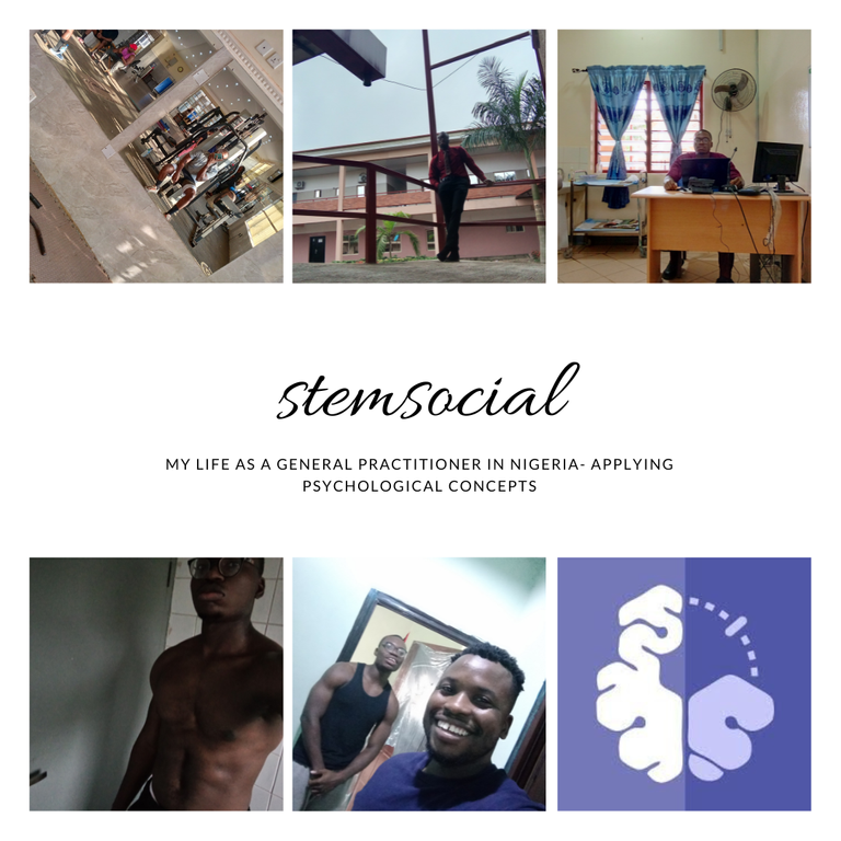 stemsocial.png