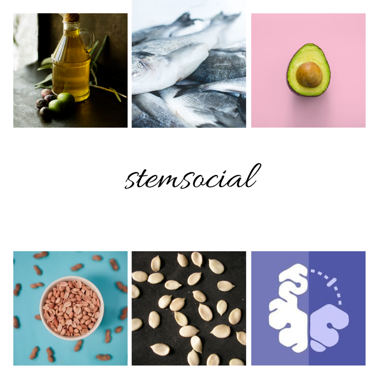 stemsocial (10).png