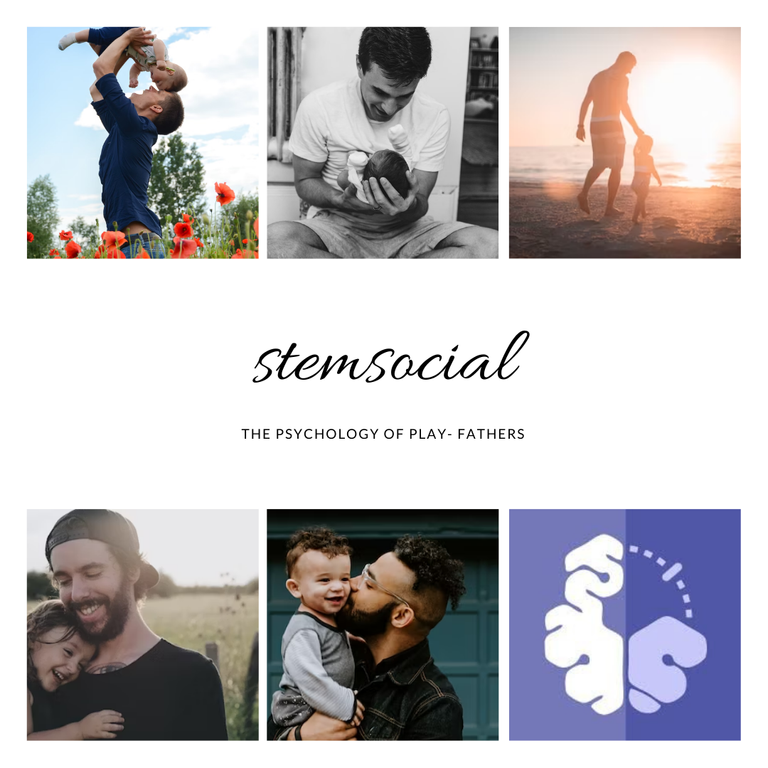 stemsocial (4).png