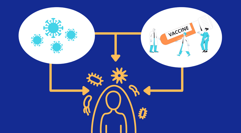 vaccine-vs-virus-immunity-e1635955349851.png