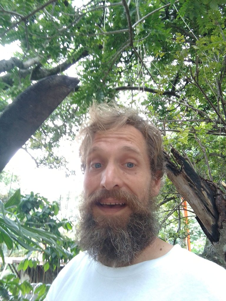 macheteThumbnail.jpg