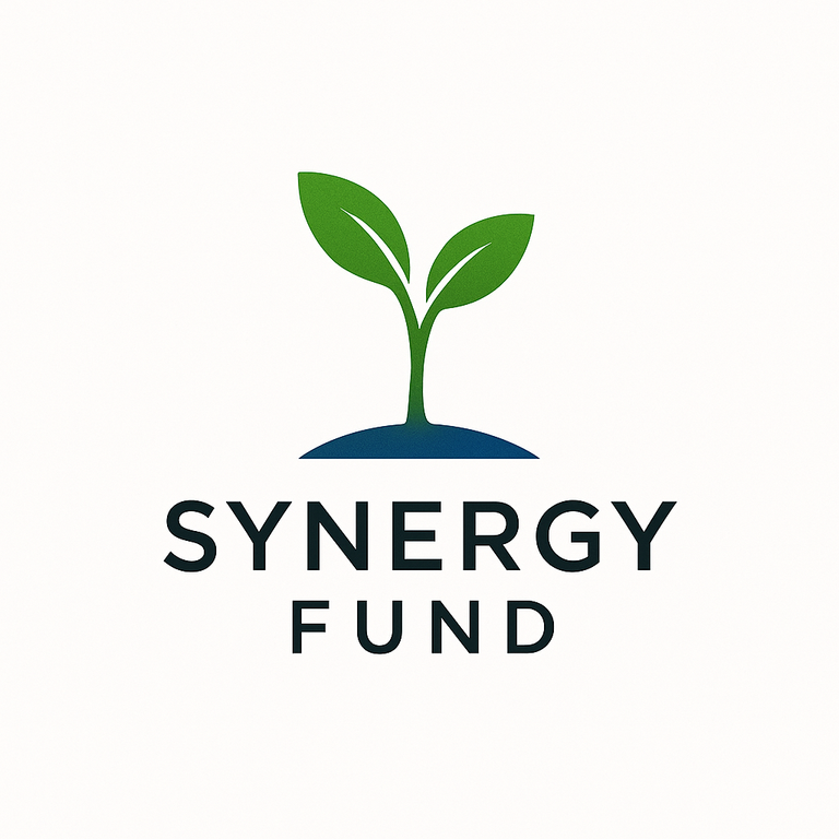 SYNERGY.FUND Soft Launch