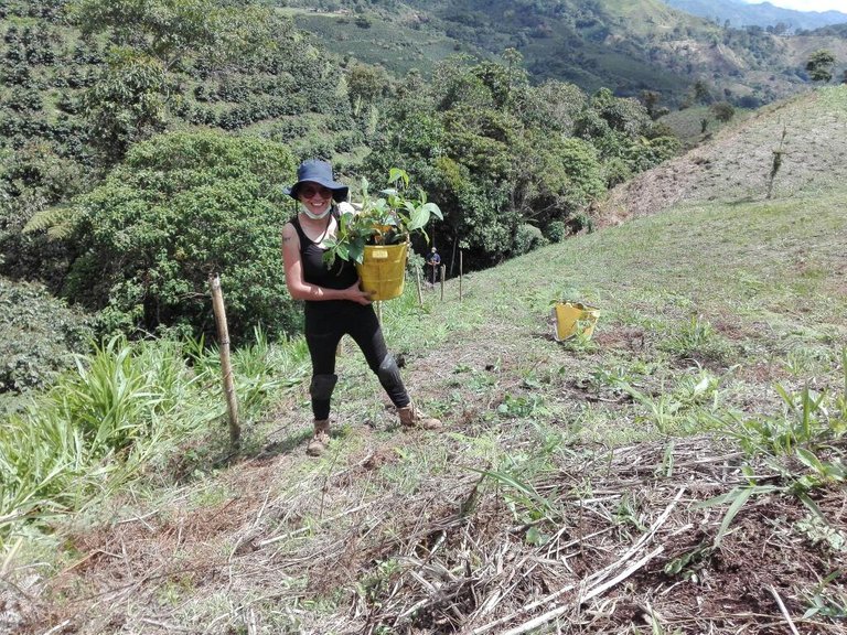 Reforestation of Native Species in Colombia Libano Tolima finca el Pensar.jpg