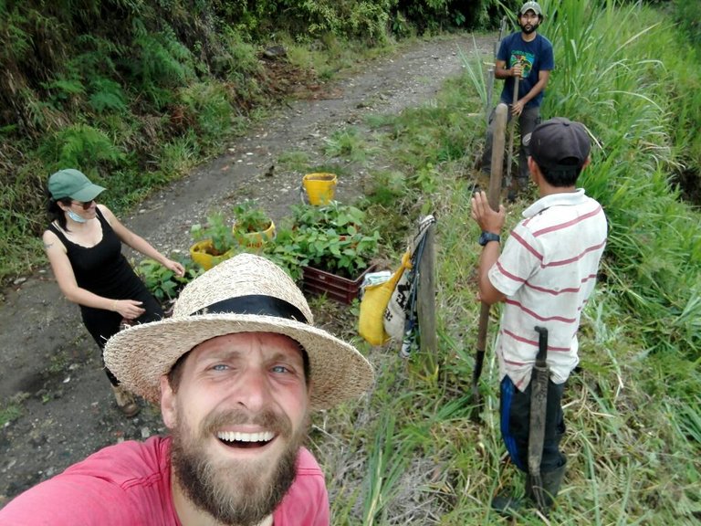 treePlanting.jpg