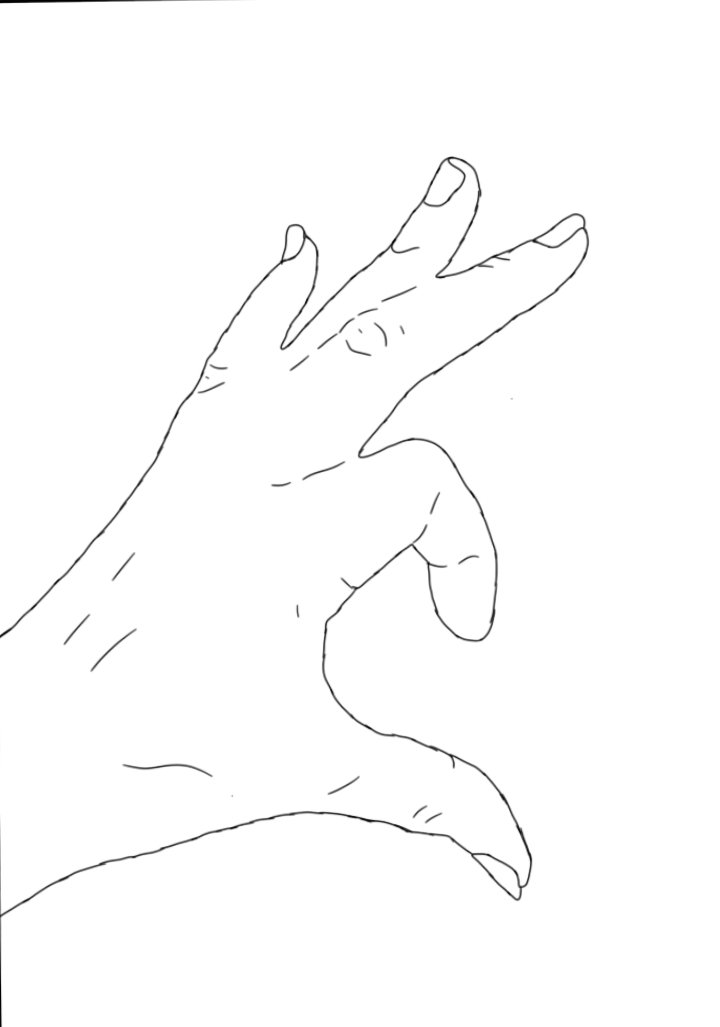 1000075053.png