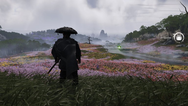 Ghost of Tsushima_20250123111557.png