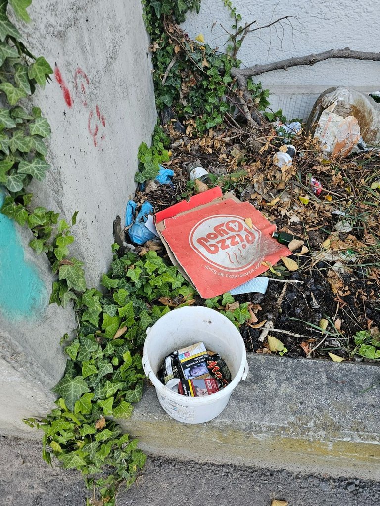 20230713_194007.jpg
