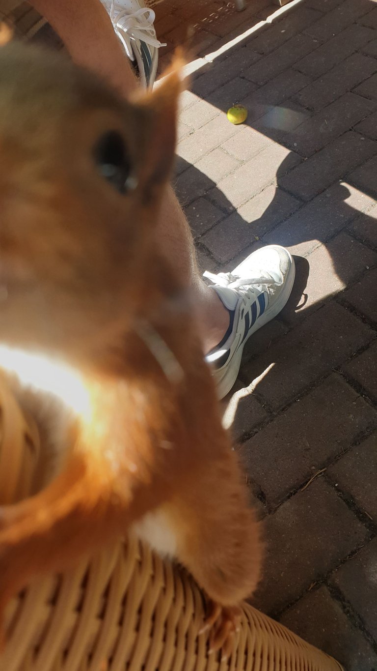 20220811_132527.jpg