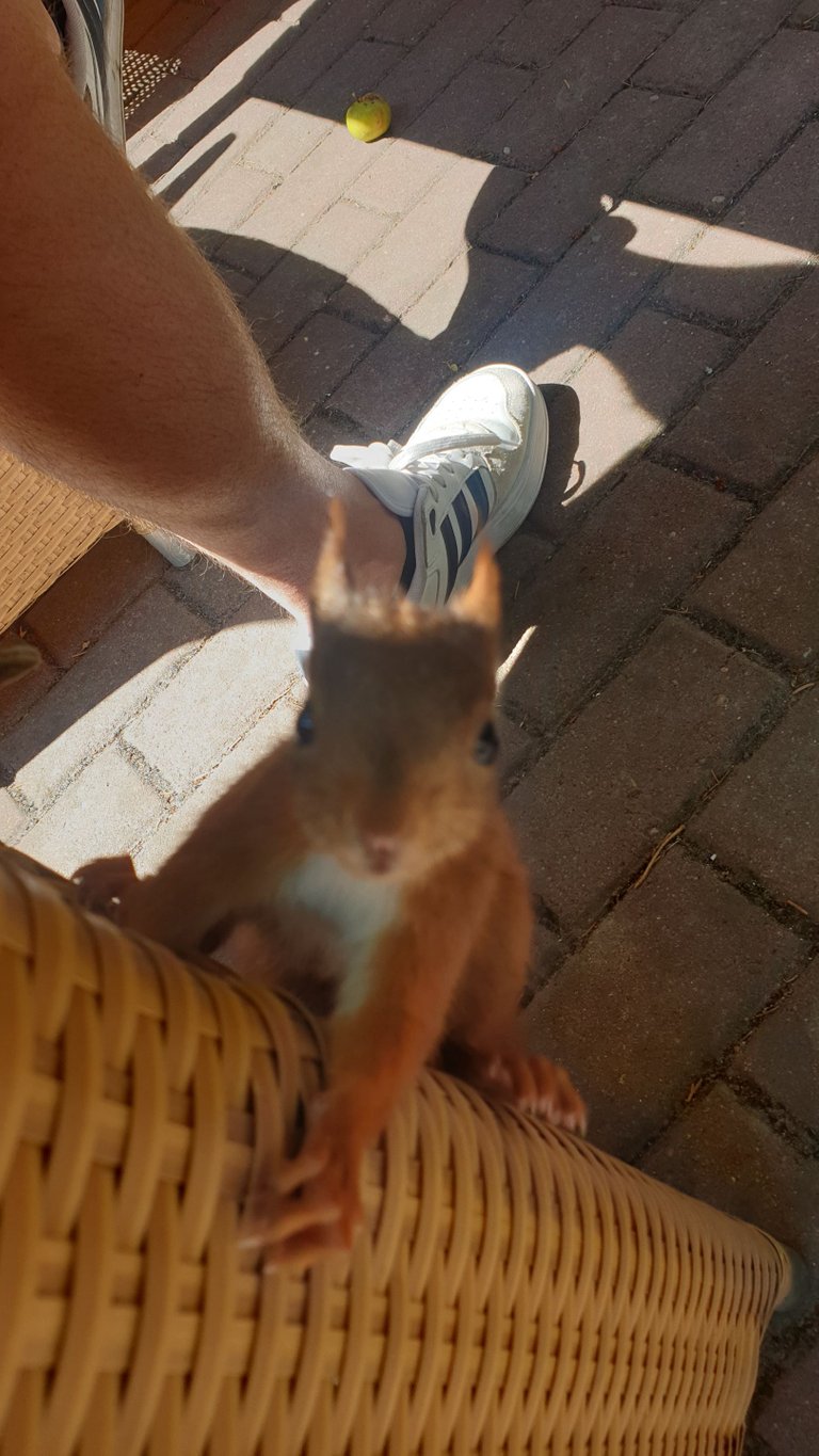 20220811_132523.jpg