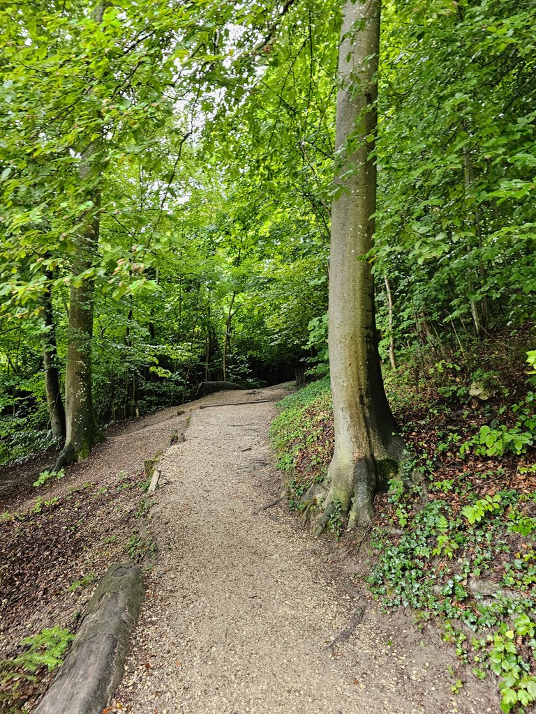 20230801_122506.jpg