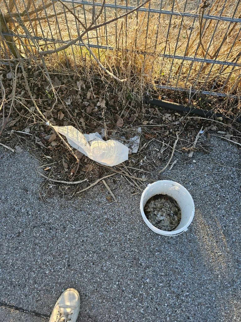 20240225_171508.jpg