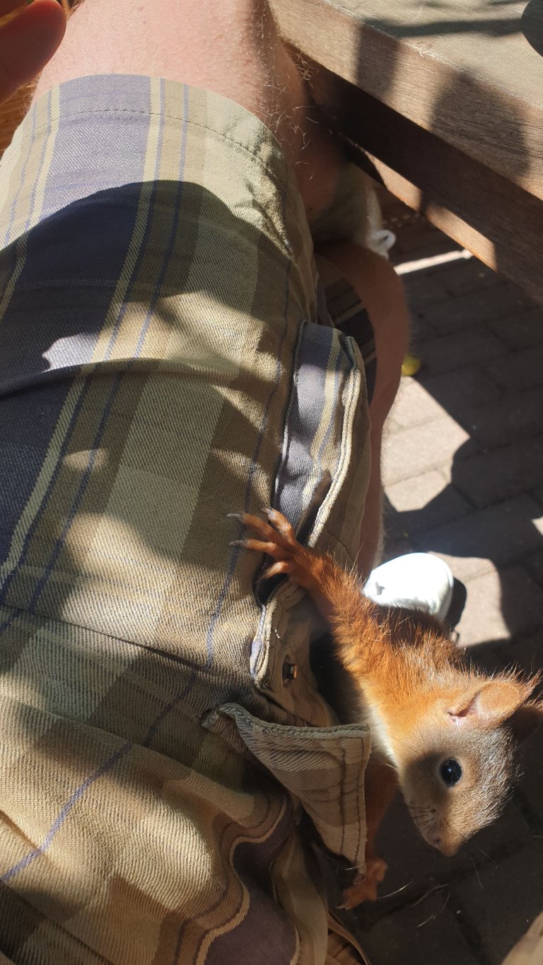 20220811_132531.jpg
