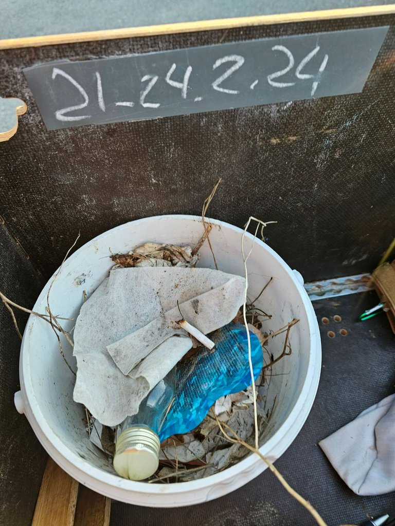 20240225_171747.jpg