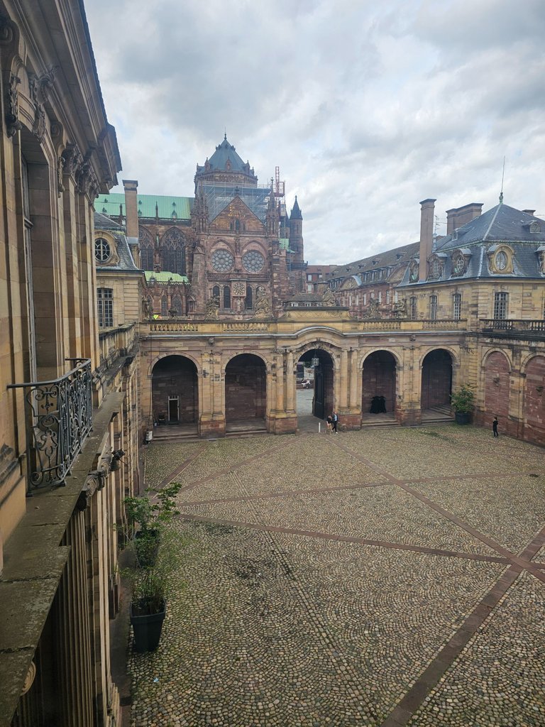 20230727_162504.jpg