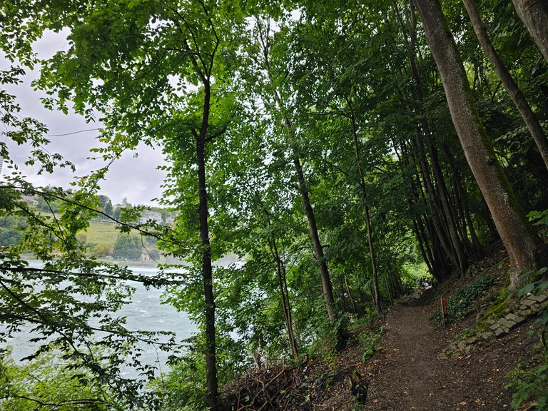 20230801_125200.jpg