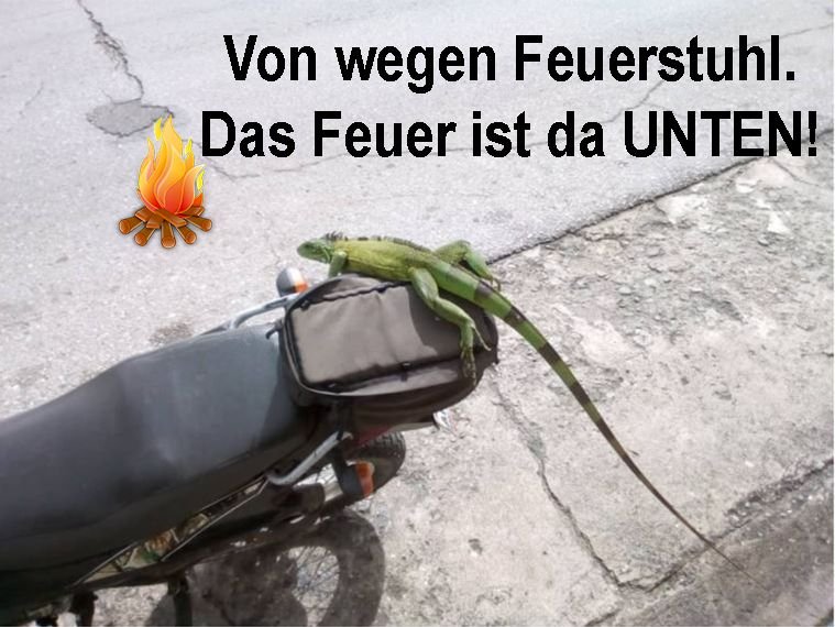 Feuerstuhl.jpg