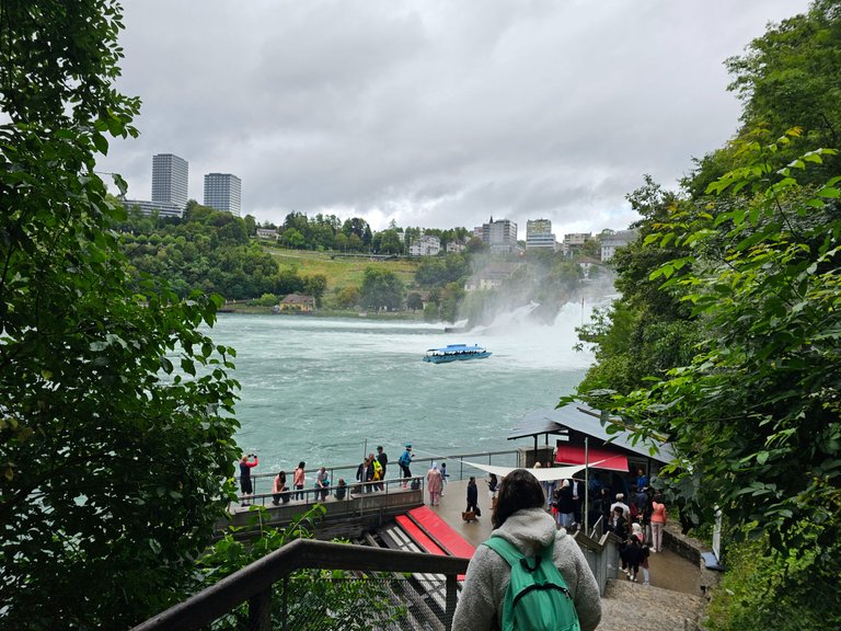 20230801_125245.jpg