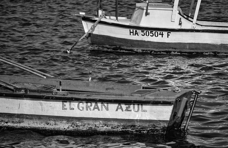 bote 06.jpg