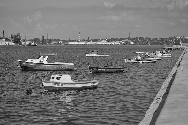 botes hab 05.jpg