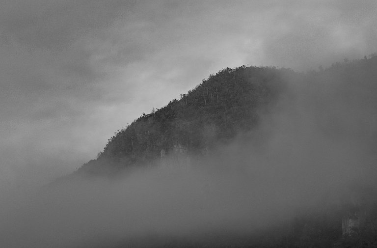 niebla BN 12.jpg