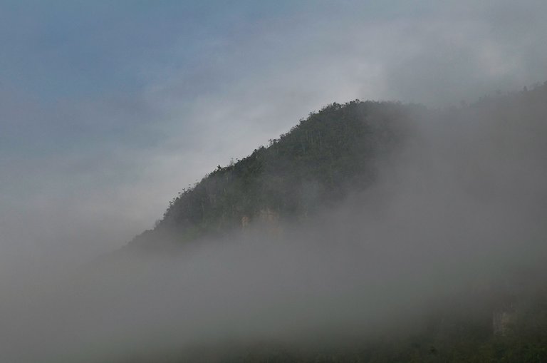 niebla sierra 13.jpg