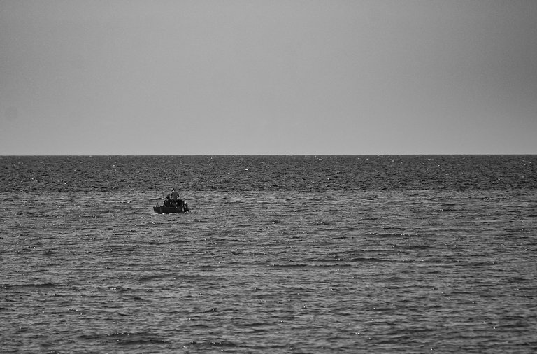 botes hab 02.jpg