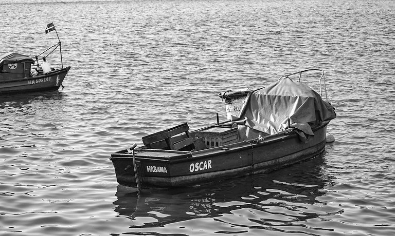 bote 01.jpg