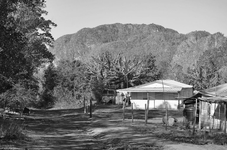 detcampo 06.jpg