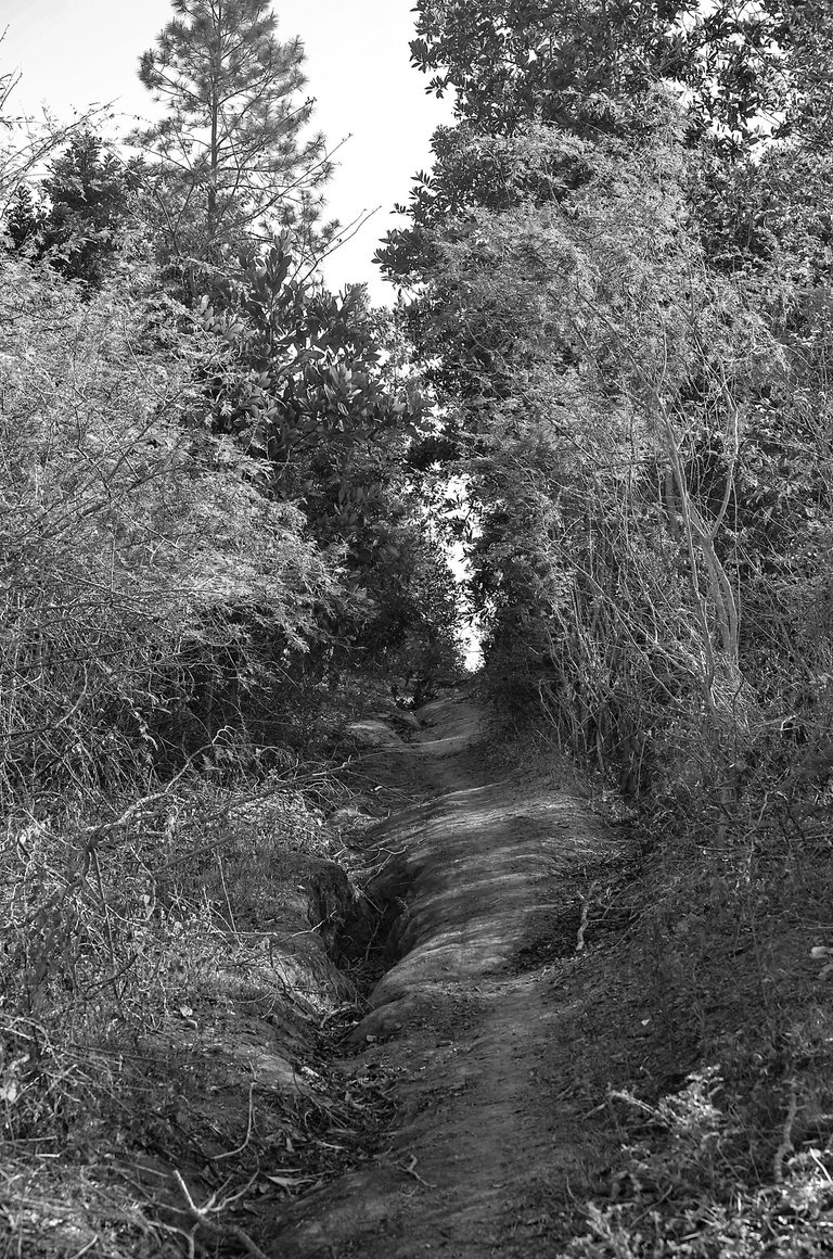 campo 04.jpg