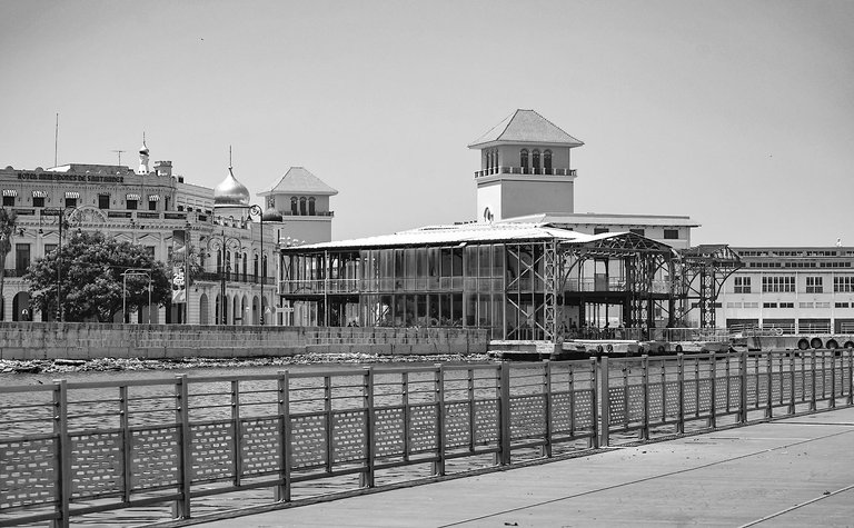 bw 31.jpg