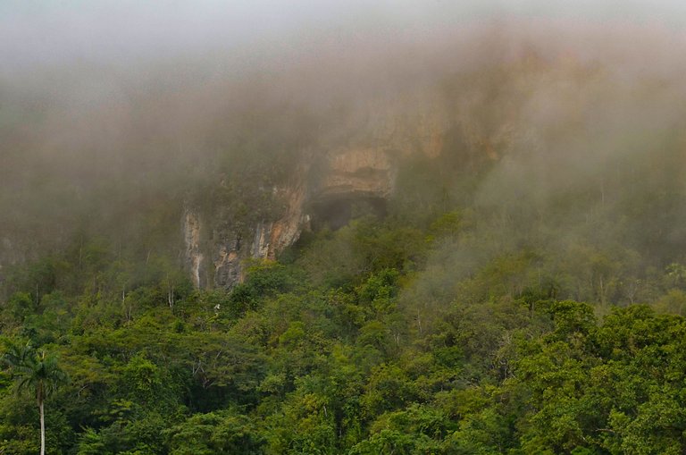 niebla sierra 12.jpg