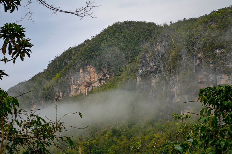 niebla sierra 04.jpg