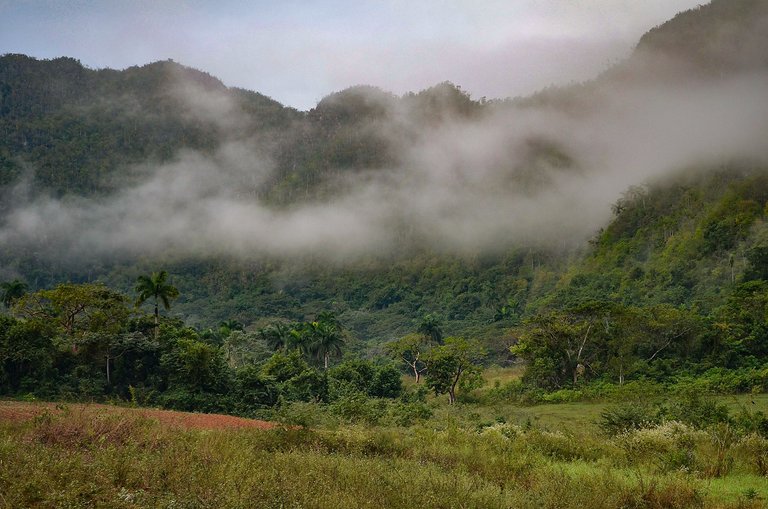 niebla sierra 05.jpg