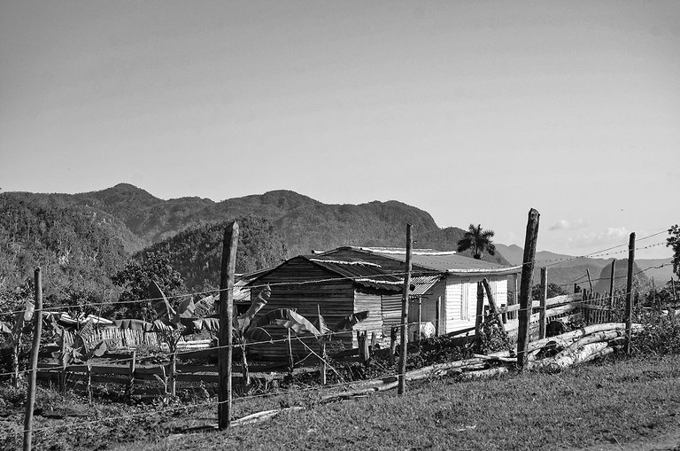 campo 01.jpg