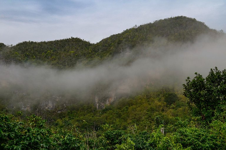 niebla sierra 01.jpg