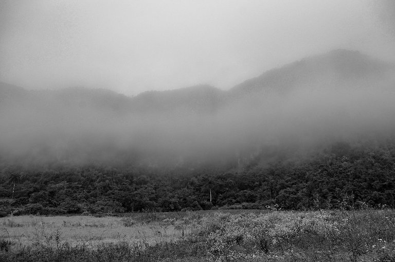 niebla BN 09.jpg