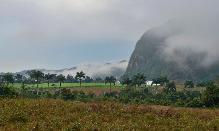 niebla sierra 10.jpg